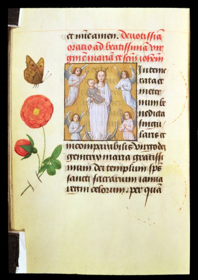 Virgen y Niño de Pie, Adorados por Ángeles, c.1515-20 de Flemish School